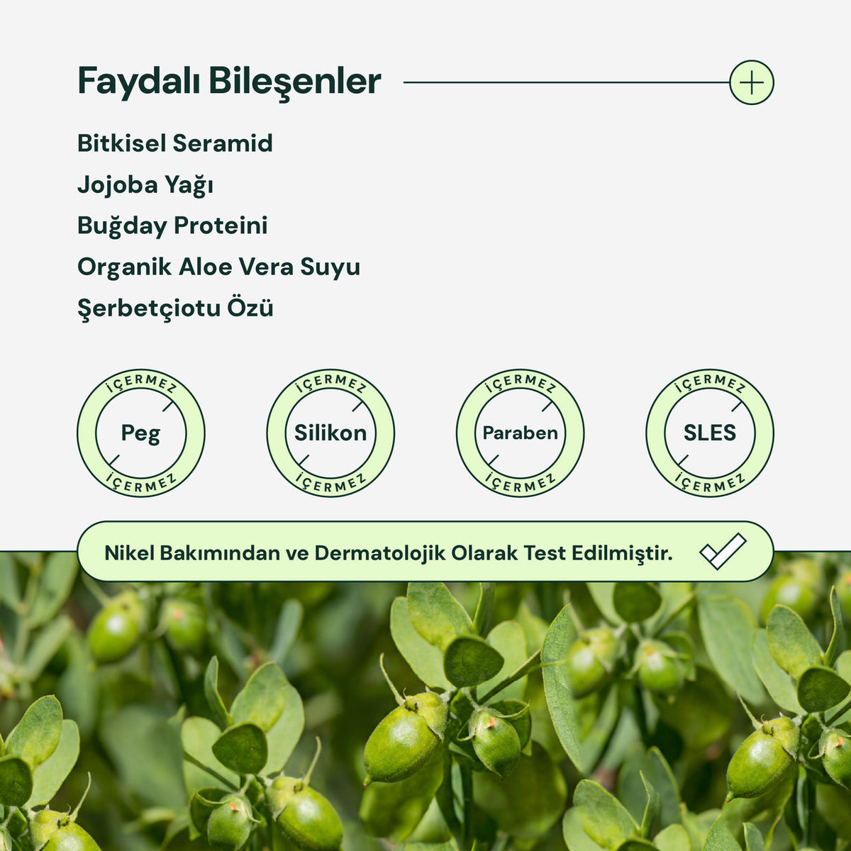 BioKap Besleyici ve Dolaşık Açıcı Saç Kremi 125 ml